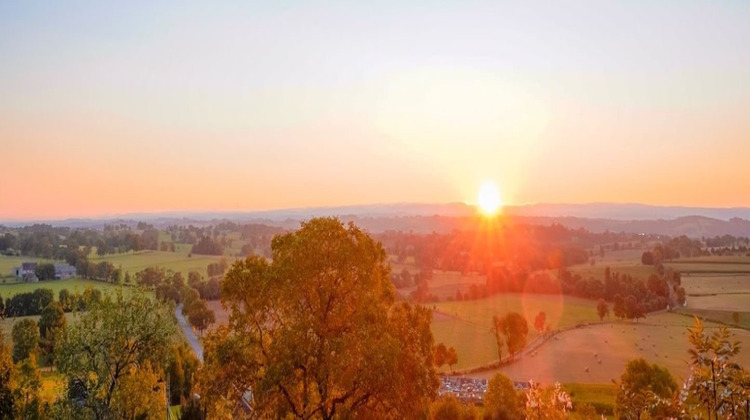 Ma-Cabane - Vente Maison SAINT FELIX DE LUNEL, 280 m²