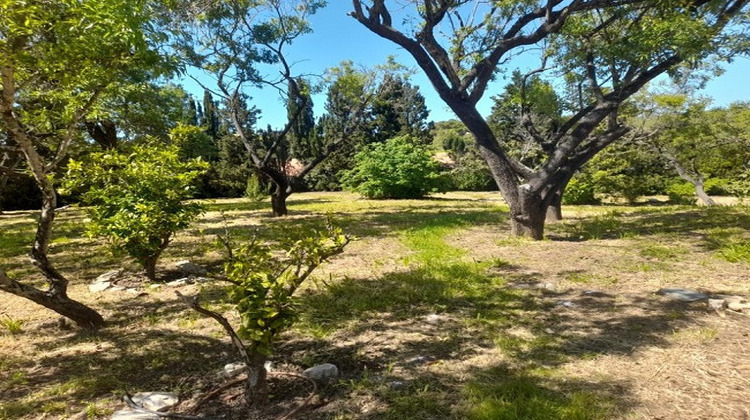 Ma-Cabane - Vente Maison Saint-Florent, 190 m²