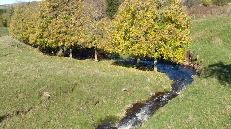 Ma-Cabane - Vente Maison SAINT FRONT, 136 m²