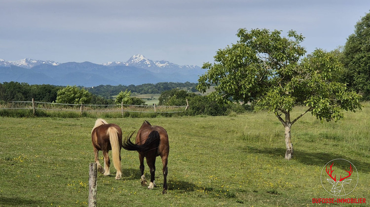Ma-Cabane - Vente Maison SAINT-GAUDENS, 435 m²