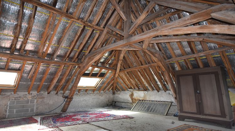 Ma-Cabane - Vente Maison SAINT-GERAND-LE-PUY, 300 m²