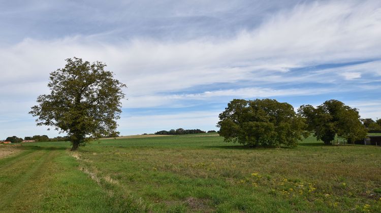 Ma-Cabane - Vente Maison SAINT-GERAND-LE-PUY, 300 m²