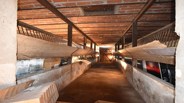 Ma-Cabane - Vente Maison SAINT-GERAND-LE-PUY, 143 m²