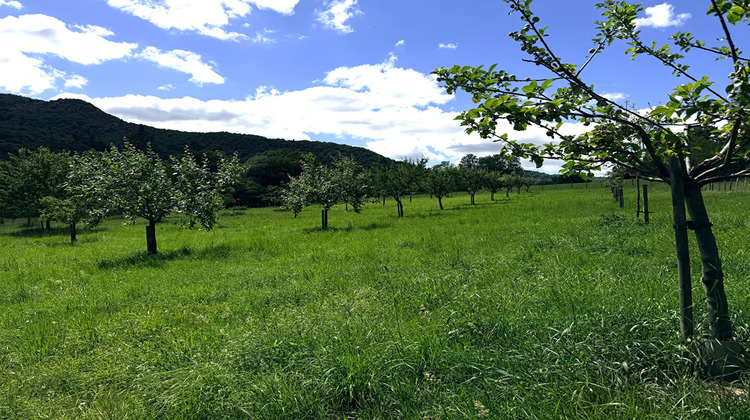 Ma-Cabane - Vente Maison SAINT-GERMAIN-DE-JOUX, 273 m²