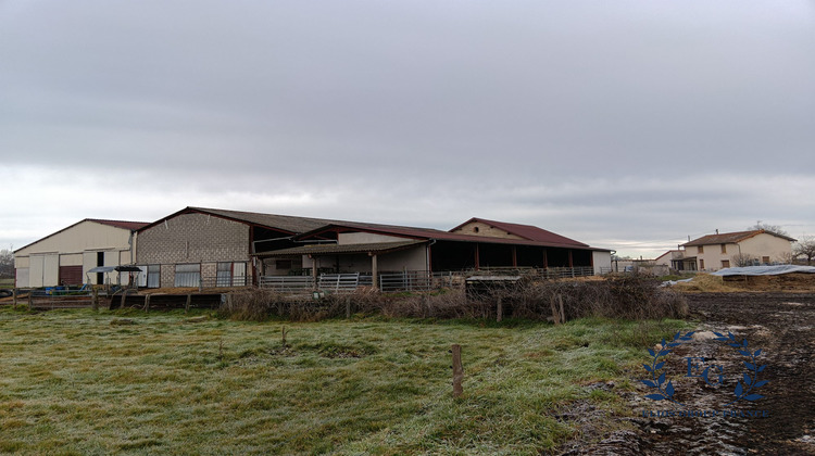 Ma-Cabane - Vente Maison Saint-Germain-Lespinasse, 137 m²