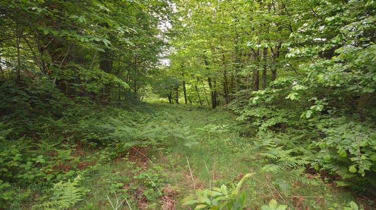 Ma-Cabane - Vente Maison SAINT GOUSSAUD, 154 m²