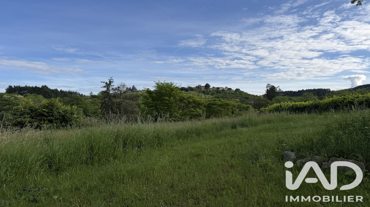 Ma-Cabane - Vente Maison Saint-Haon-le-Vieux, 330 m²