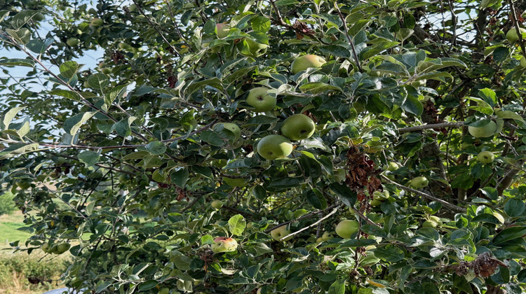 Ma-Cabane - Vente Maison Saint-Hilaire, 100 m²