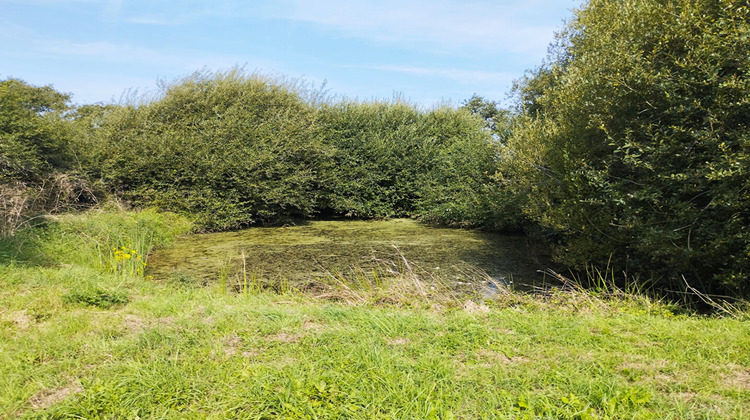 Ma-Cabane - Vente Maison SAINT-HILAIRE-DE-CHALEONS, 31 m²