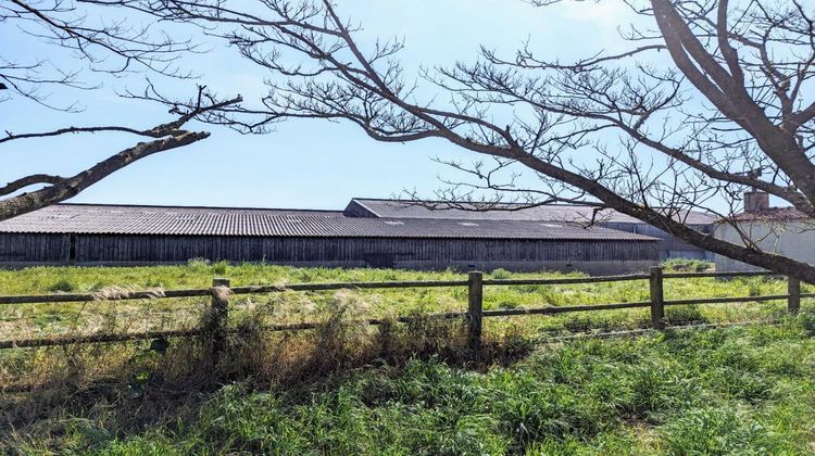 Ma-Cabane - Vente Maison SAINT HILAIRE DE RIEZ, 217 m²