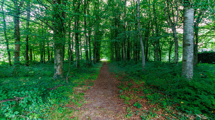 Ma-Cabane - Vente Maison SAINT-HILAIRE-DU-HARCOUET, 404 m²