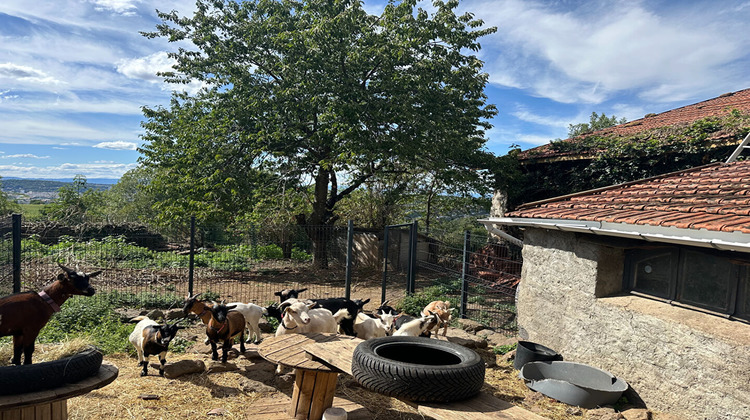 Ma-Cabane - Vente Maison SAINT-JEAN-BONNEFONDS, 200 m²