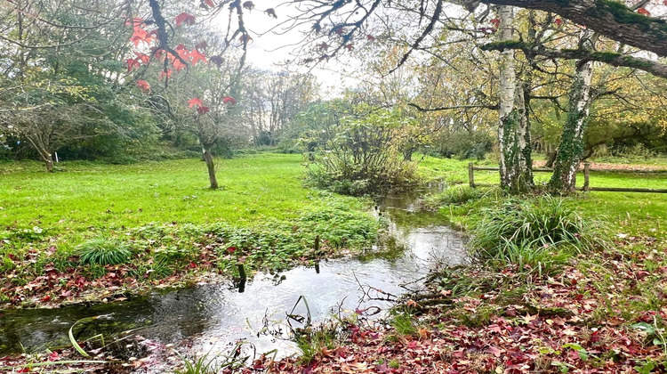 Ma-Cabane - Vente Maison Saint-Jean-d'Angely, 362 m²