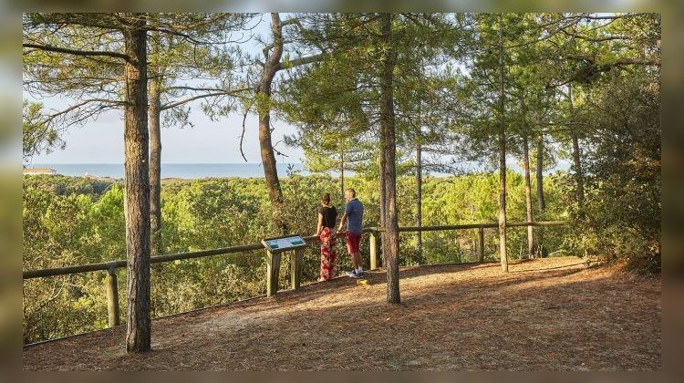 Ma-Cabane - Vente Maison Saint-Jean-de-Monts, 32 m²