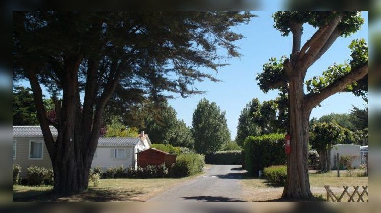 Ma-Cabane - Vente Maison Saint-Jean-de-Monts, 32 m²