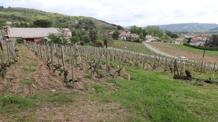 Ma-Cabane - Vente Maison Saint-Jean-de-Muzols, 174 m²