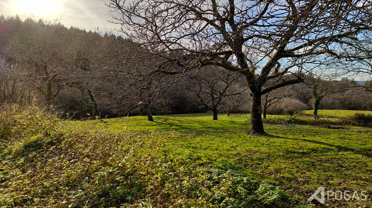Ma-Cabane - Vente Maison SAINT-JEAN-LAGINESTE, 0 m²