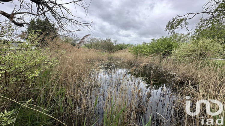 Ma-Cabane - Vente Maison Saint-Jean-le-Thomas, 218 m²