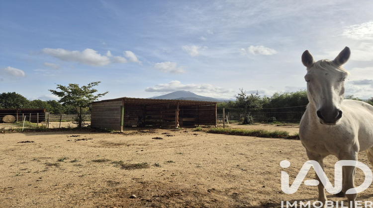 Ma-Cabane - Vente Maison Saint-Jean-Pla-de-Corts, 132 m²