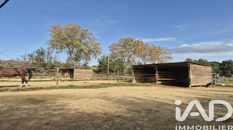 Ma-Cabane - Vente Maison Saint-Jean-Pla-de-Corts, 132 m²