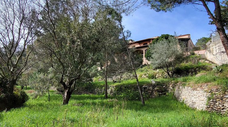 Ma-Cabane - Vente Maison Saint-Jean-Pla-de-Corts, 305 m²