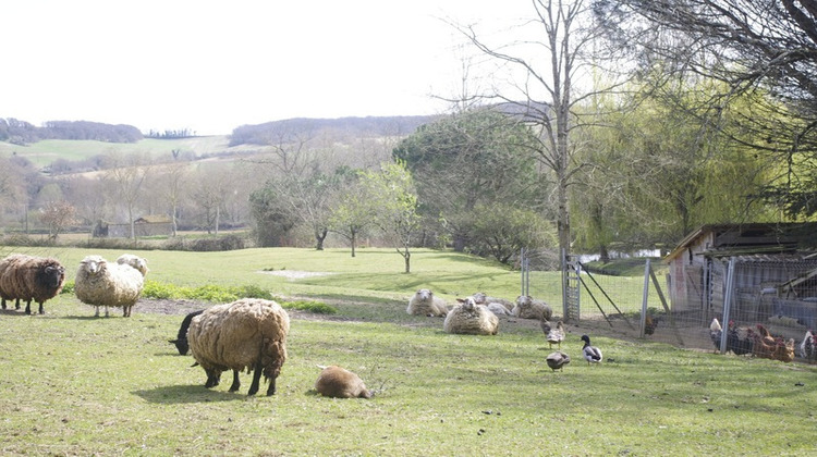 Ma-Cabane - Vente Maison SAINT JEAN POUTGE, 245 m²