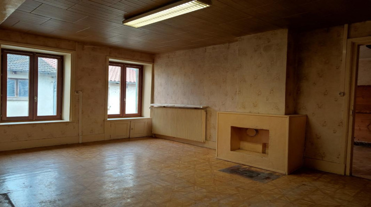 Ma-Cabane - Vente Maison SAINT JULIEN SUR REYSSOUZE, 257 m²