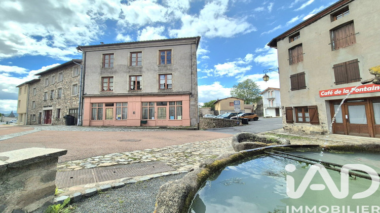 Ma-Cabane - Vente Maison Saint-Just-en-Chevalet, 355 m²