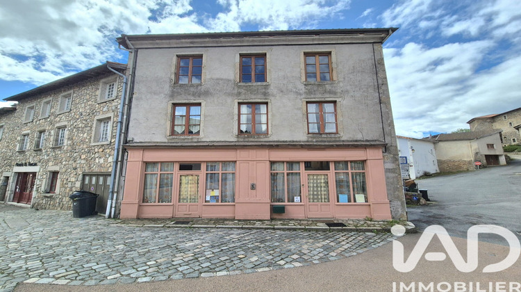 Ma-Cabane - Vente Maison Saint-Just-en-Chevalet, 355 m²