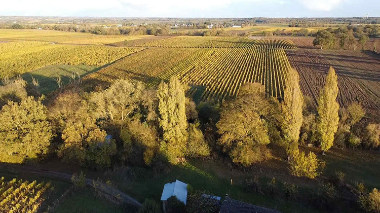 Ma-Cabane - Vente Maison SAINT LAMBERT DU LATTAY, 97 m²