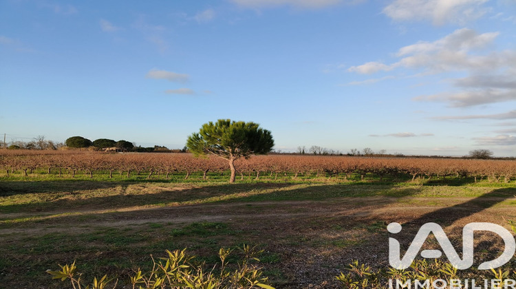 Ma-Cabane - Vente Maison Saint-Laurent-d'Aigouze, 375 m²