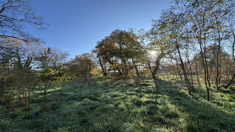 Ma-Cabane - Vente Maison Saint-Loubès, 284 m²