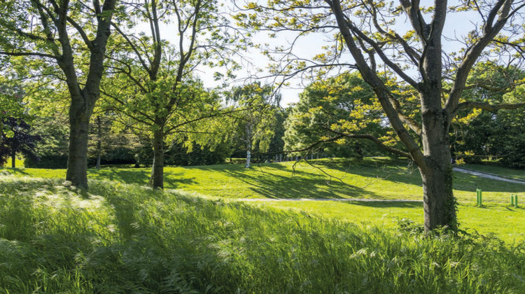 Ma-Cabane - Vente Maison Saint-Louis, 87 m²