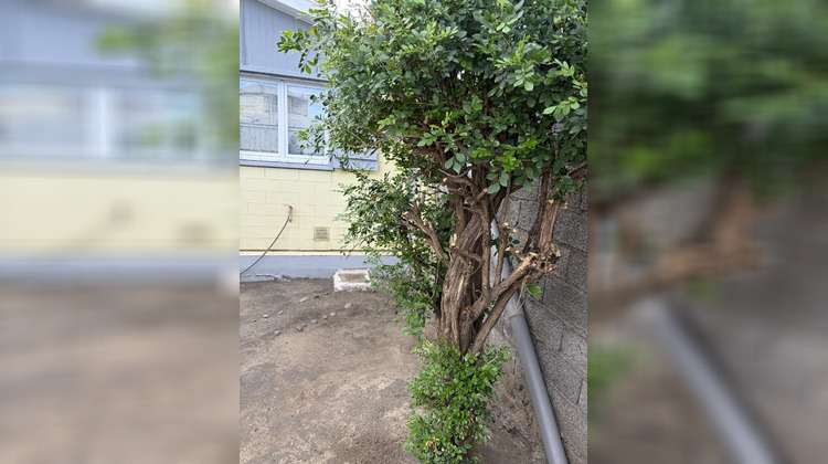 Ma-Cabane - Vente Maison SAINT LOUIS, 60 m²