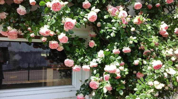 Ma-Cabane - Vente Maison SAINT LOUP GEANGES, 87 m²