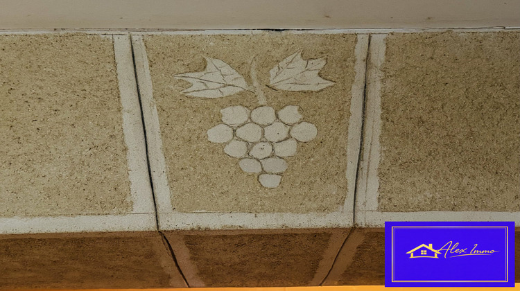 Ma-Cabane - Vente Maison Saint-Loup-Géanges, 195 m²