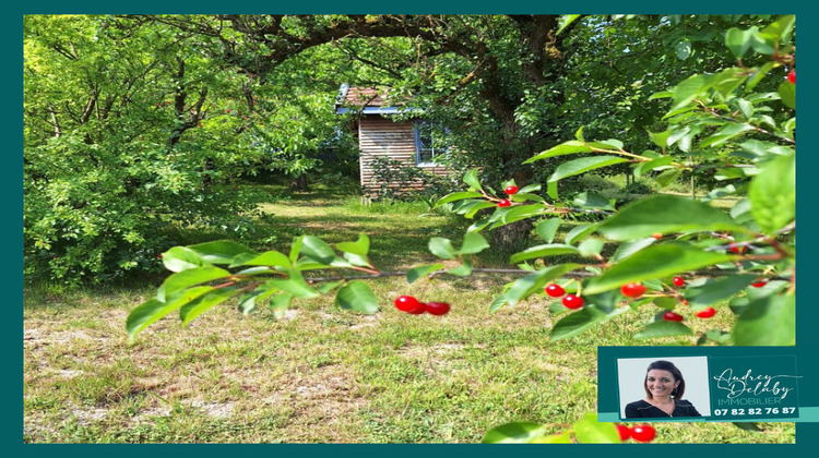 Ma-Cabane - Vente Maison SAINT-LUMIER-EN-CHAMPAGNE, 144 m²