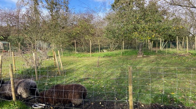 Ma-Cabane - Vente Maison SAINT-M'HERVE, 140 m²