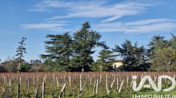 Ma-Cabane - Vente Maison Saint-Magne-de-Castillon, 356 m²