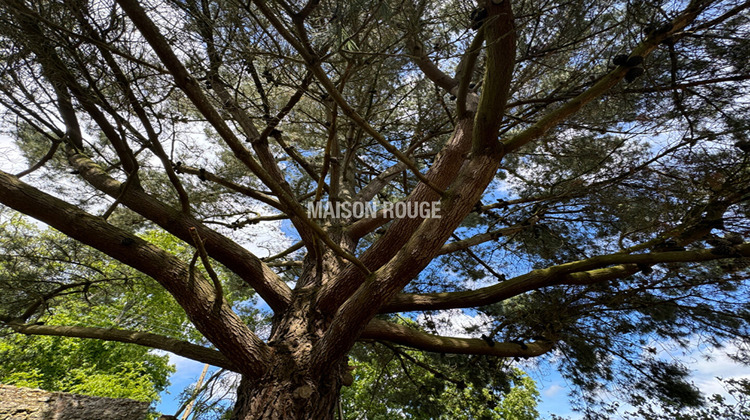 Ma-Cabane - Vente Maison SAINT-MALO, 180 m²