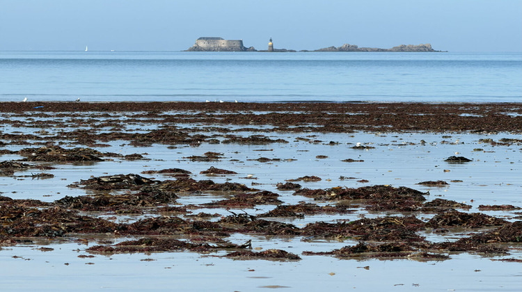 Ma-Cabane - Vente Maison SAINT-MALO, 162 m²