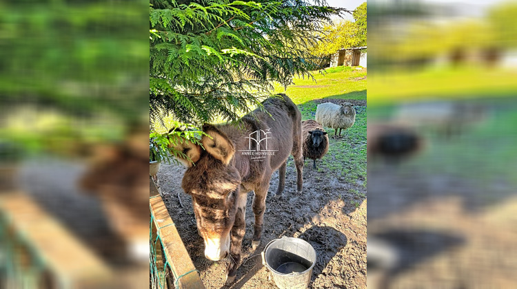 Ma-Cabane - Vente Maison Saint-Martin-aux-Chartrains, 130 m²