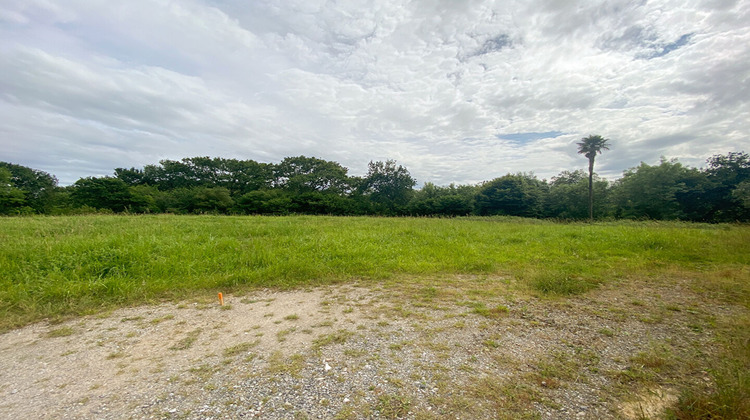 Ma-Cabane - Vente Maison SAINT-MARTIN-DE-HINX, 400 m²