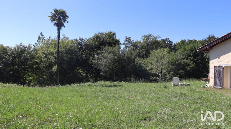 Ma-Cabane - Vente Maison Saint-Martin-de-Hinx, 377 m²