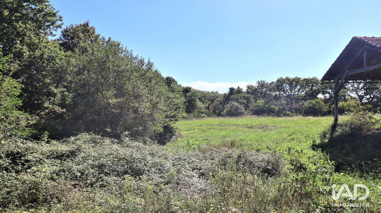 Ma-Cabane - Vente Maison Saint-Martin-de-Hinx, 377 m²