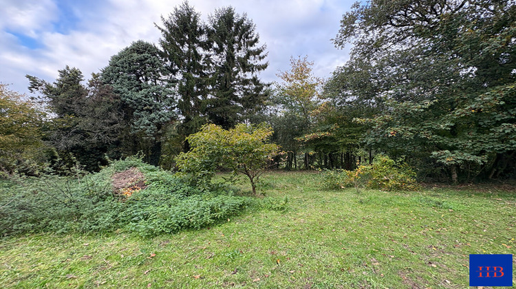 Ma-Cabane - Vente Maison SAINT-MARTIN-DES-BESACES, 158 m²