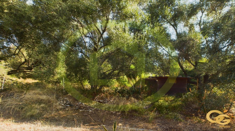 Ma-Cabane - Vente Maison SAINT MARTIN DU VAR, 200 m²