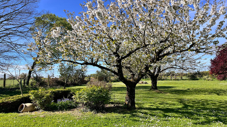 Ma-Cabane - Vente Maison SAINT-MEDARD-D'AUNIS, 296 m²