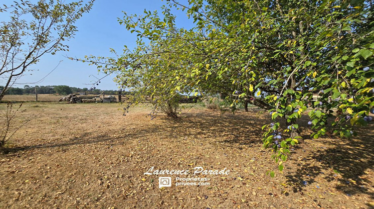 Ma-Cabane - Vente Maison SAINT MICHEL DE DOUBLE, 201 m²