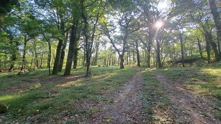 Ma-Cabane - Vente Maison SAINT-MICHEL-ESCALUS, 158 m²